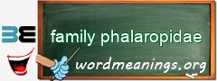 WordMeaning blackboard for family phalaropidae